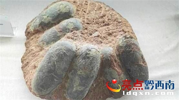 Preview Image 1