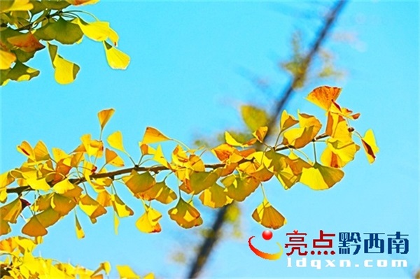 Preview Image 1