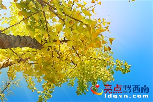Preview Image 1