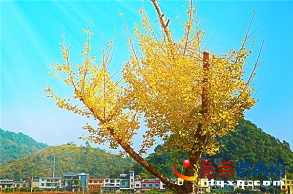 Preview Image 1