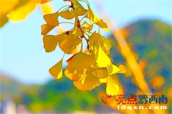 Preview Image 1