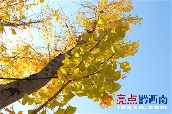 Preview Image 1