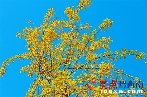 Preview Image 1