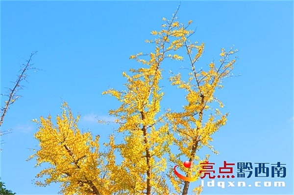 Preview Image 1