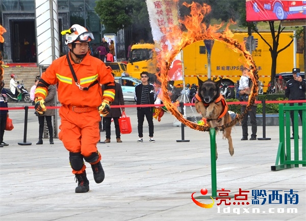 Preview Image 1