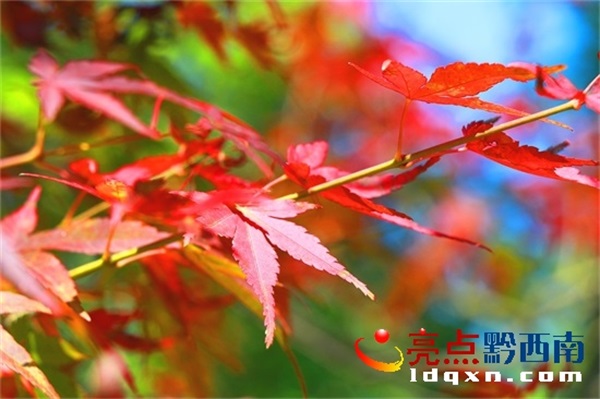 Preview Image 1