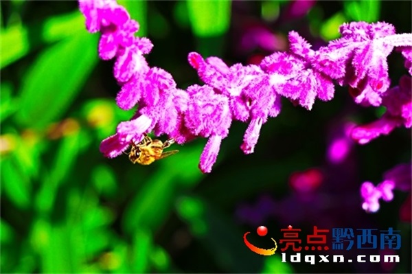 Preview Image 1