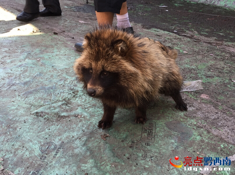 QQ截圖201504010013250123.jpg