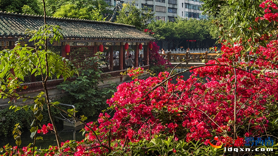 _DSC9093興義市新聞中心 張霆 攝.jpg