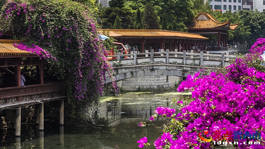 _DSC9345興義市新聞中心 張霆 攝.jpg