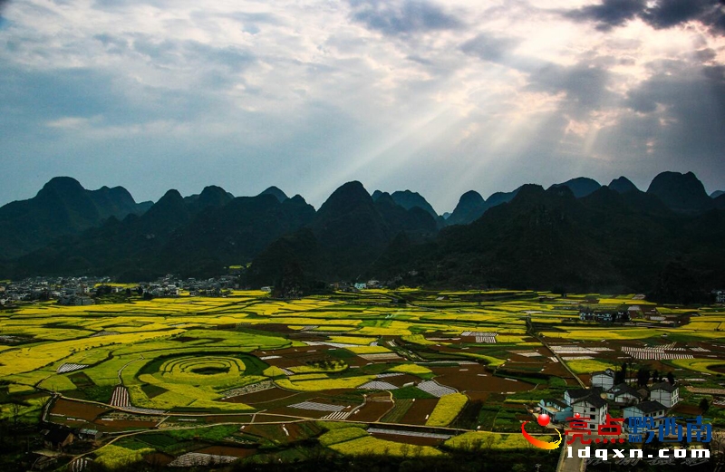 萬(wàn)峰林油菜花3.jpg