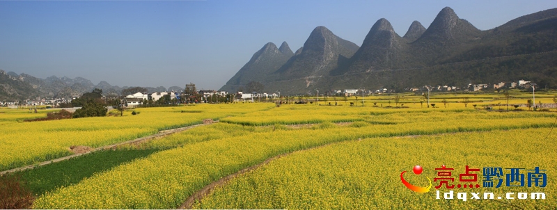 萬(wàn)峰林油菜花4.jpg