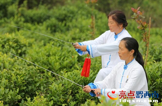 QQ截圖20160516215714.jpg