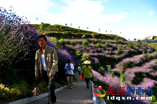 ǰ(li)^pR޲ݵοͣꐁ?jn)zӰ.JPG