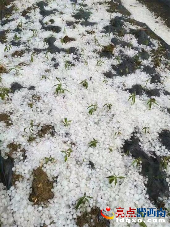 未設炮站的義龍試驗區(qū)頂效.jpg