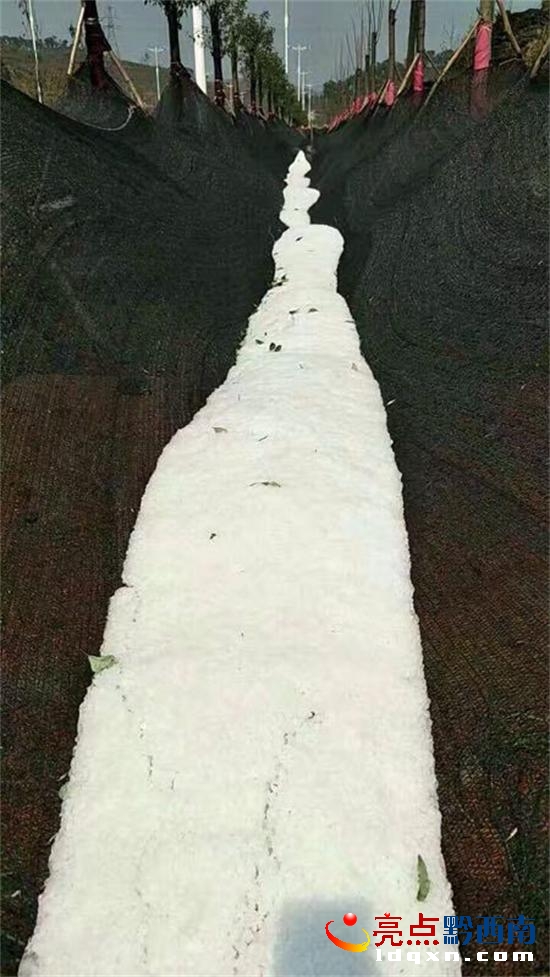 未設炮站的義龍試驗區(qū)頂效1.jpg