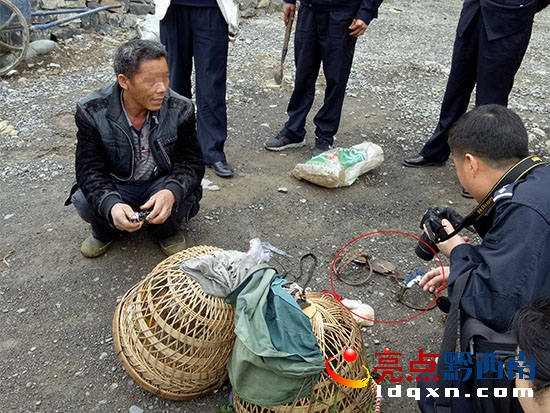 森林公安現(xiàn)森林公安現(xiàn)場(chǎng)查獲野生雉雞和狩獵工具.jpg