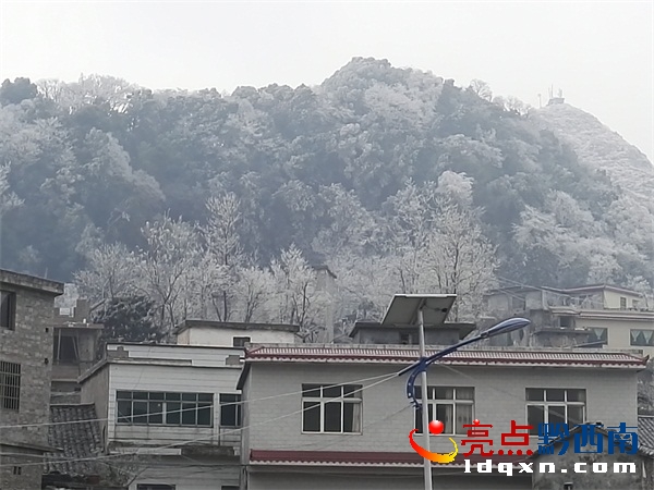 QQ圖片20180205142427.jpg